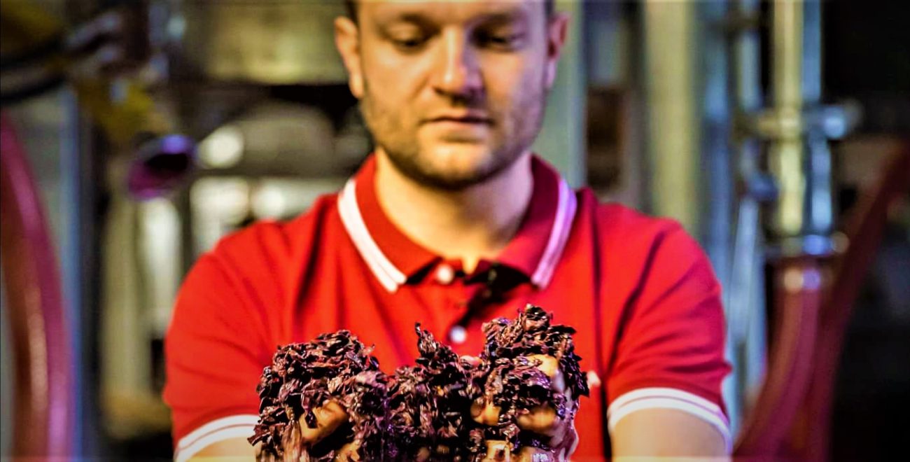 Alessandro Barabesi enologo dell'anno 2022 per la Guida Vini al Supermercato winemag.it Premio al winemaker della rinascita degli Agricoltori Chianti Geografico, oggi al lavoro sulla linea Terzieri