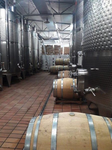 Cantina Castello di Corbara 2
