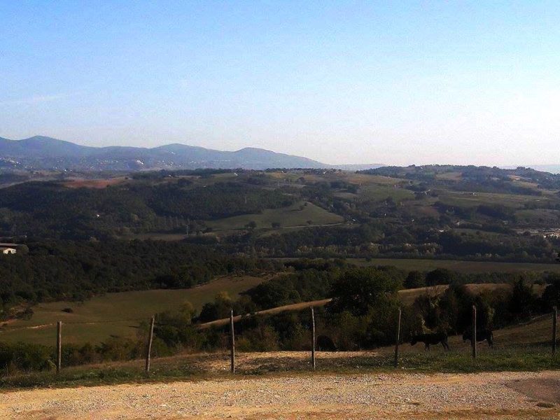 Castello di Corbara cantina Orvieto 2