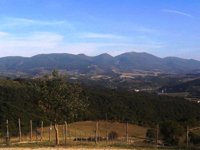 Castello di Corbara cantina Orvieto 3