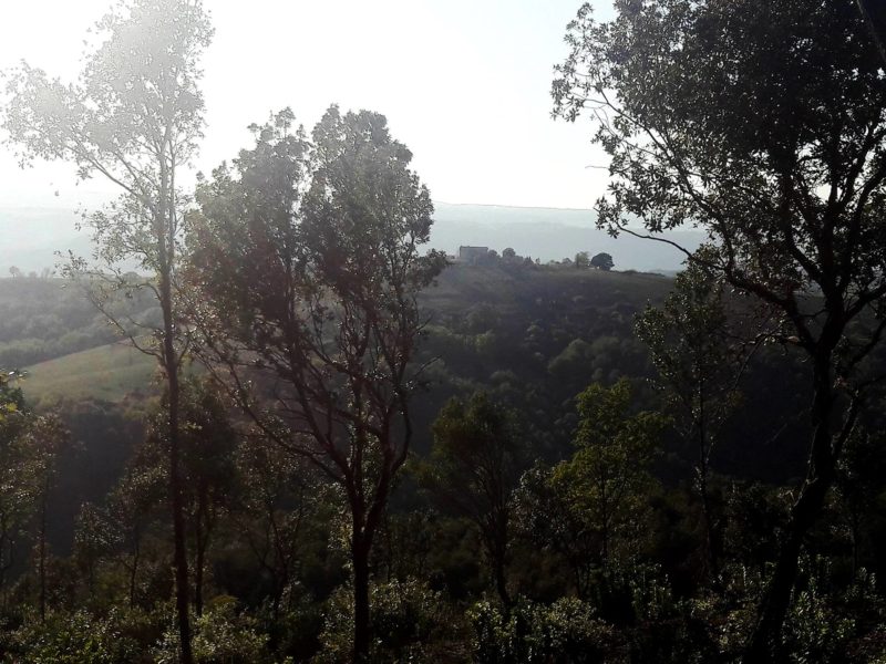 Castello di Corbara cantina Orvieto 7