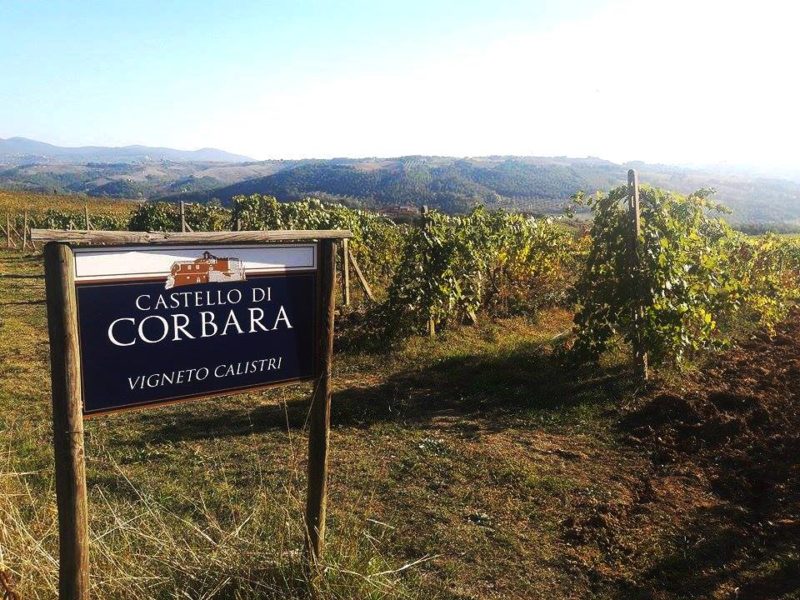 Castello di Corbara cantina Orvieto vigneto calistri