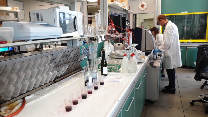 Tavernello Caviro Forli slow wine rock n roll visita stabilimento vinialsupermercato 13