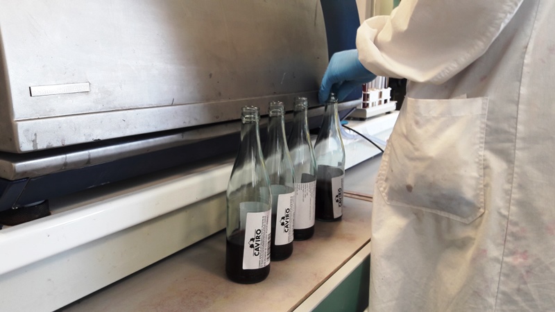 Tavernello Caviro Forli slow wine rock n roll visita stabilimento vinialsupermercato 16