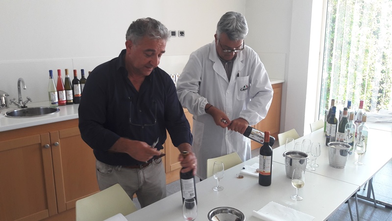 Tavernello Caviro Forli slow wine rock n roll visita stabilimento vinialsupermercato 18