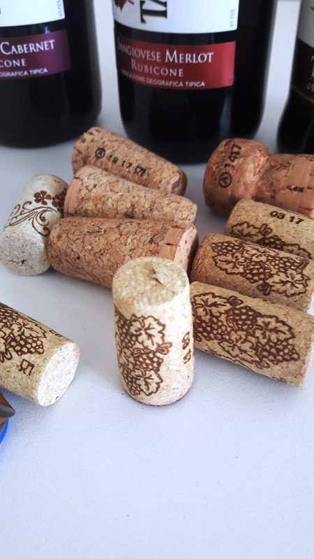 Tavernello Caviro Forli slow wine rock n roll visita stabilimento vinialsupermercato 21 e1498517994272