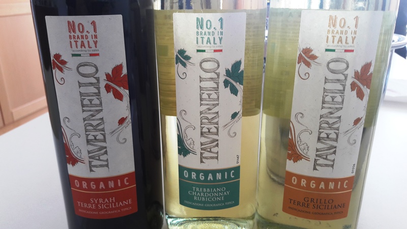 Tavernello Caviro Forli slow wine rock n roll visita stabilimento vinialsupermercato 22