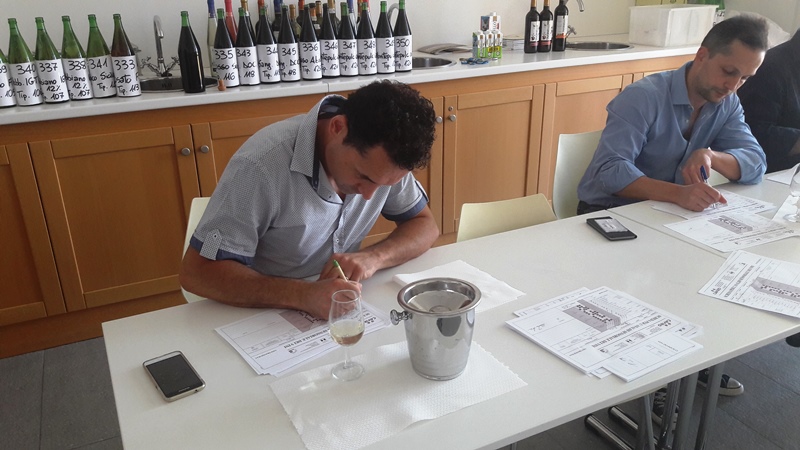 Tavernello Caviro Forli slow wine rock n roll visita stabilimento vinialsupermercato 23