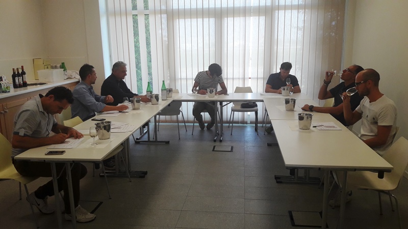 Tavernello Caviro Forli slow wine rock n roll visita stabilimento vinialsupermercato 24