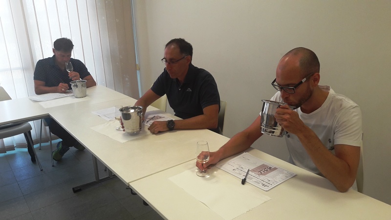 Tavernello Caviro Forli slow wine rock n roll visita stabilimento vinialsupermercato 25