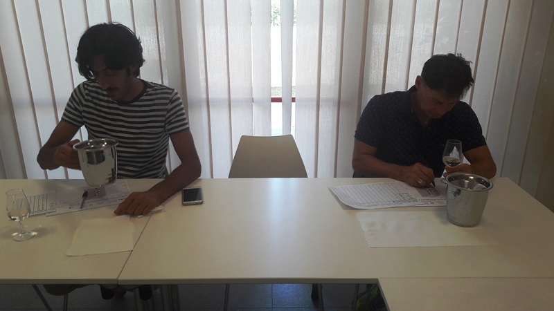 Tavernello Caviro Forli slow wine rock n roll visita stabilimento vinialsupermercato 26