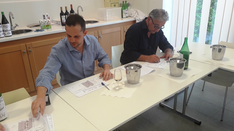 Tavernello Caviro Forli slow wine rock n roll visita stabilimento vinialsupermercato 27