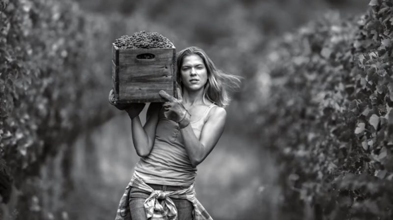 nuovo spot tavernello polemiche critiche caviro vino brik