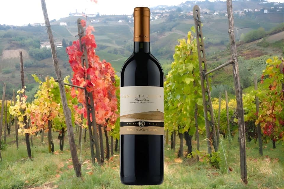 Sangue di Giuda dell’Oltrepò pavese Doc 2024, Quaquarini